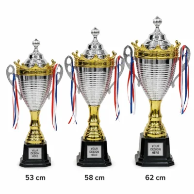Silver & Gold ribbed trophy with crown lid